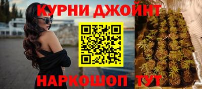 крисы Заводоуковск