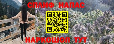 крисы Заводоуковск
