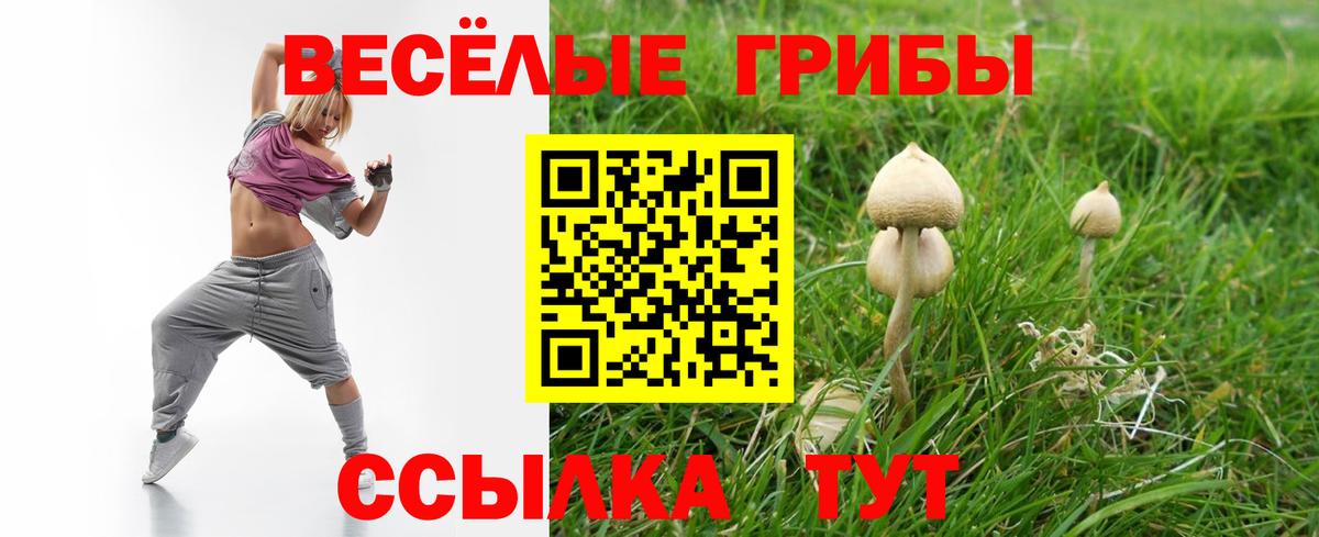 Псилоцибиновые грибы ЛСД Киселёвск