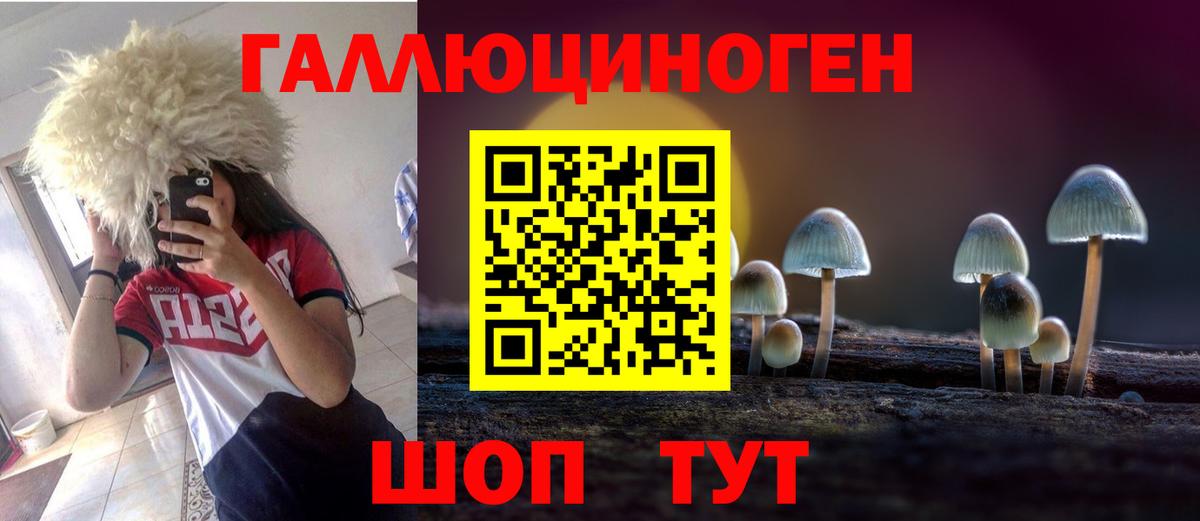 Киселёвск  Псилоцибиновые грибы GOLDEN TEACHER  Вход с VPN 